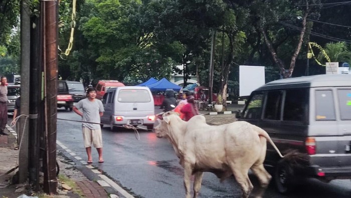 Cerita Menarik Saat Idul Adha 1445H